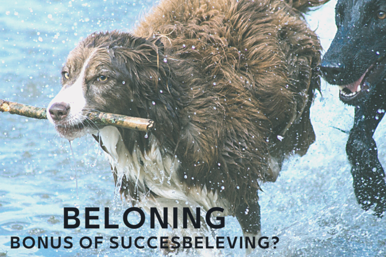 beloning bonus of succesbeleving