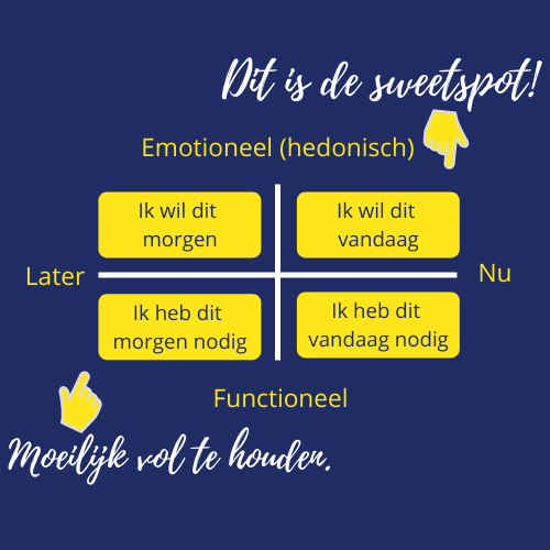 raster afweging gedrag emotioneel functioneel keuze